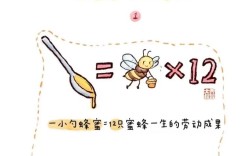 高效养蜂关键技术有哪些？