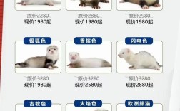 世界貂皮今年价格走势，是触底反弹还是继续暴跌？