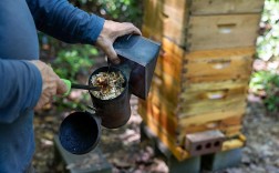 中蜂人工分蜂技术视频怎么操作？
