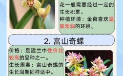 建兰和春兰，到底哪个更值得养？