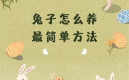 兔子养殖技术真的简单易学吗？