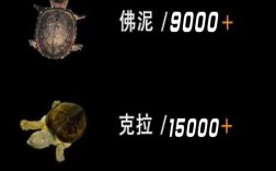 龟品种差异大，价格行情如何？