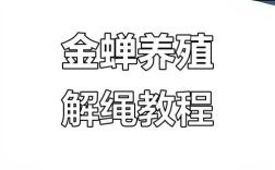 金蝉养殖技术全流程关键步骤有哪些？