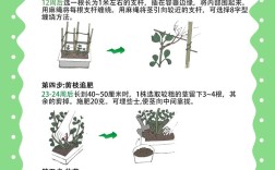蚕豆打顶整枝怎么做才高产？