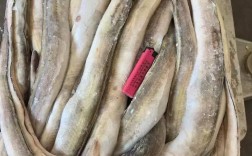 2025鳗鱼批发价会涨还是跌？