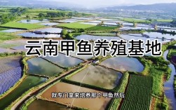 农业养殖技术视频教程怎么学更高效？