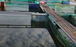 加州鲈鱼网箱养殖技术要点有哪些？