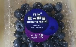 哪种蓝莓品种最贵？