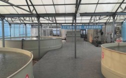 武汉水产养殖技术有何创新？