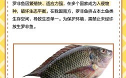 罗非鱼全人工繁殖技术如何突破？