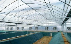 水产温棚养殖技术视频，如何快速掌握核心要点？