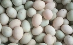 什么鸭子品种下蛋最多？