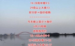 2025年龙虾市场价格会涨还是跌？