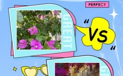 梅花品种如何靠叶子区分？