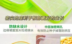 青蒜苗价格多少？种植技术怎么掌握？