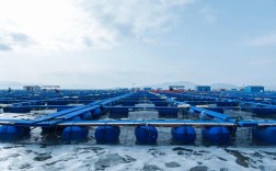 网箱养殖技术视频，看了就能学会吗？