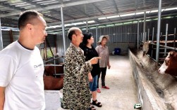 嘉祥肉牛养殖技术有哪些关键要点？