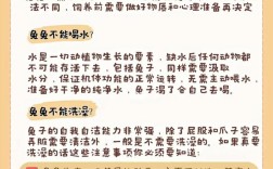 野兔养殖技术资料有哪些要点？