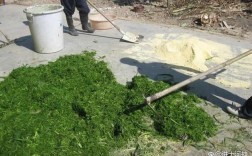 养猪青饲料发酵技术视频，如何高效发酵？