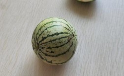 小型西瓜品种有哪些？