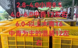 全国龙虾价格差异有多大？