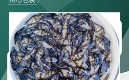 2025年鳜鱼苗价格会涨还是跌？