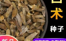 白术亩产多少斤？价格与产量有何关联？