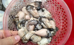 钦州生蚝批发价现在多少？