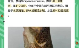 广西哪里能学到桂鱼养殖技术？