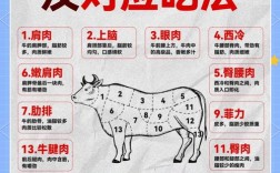 如何选对好品种？