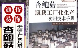 工厂化栽培杏鲍菇技术要点有哪些？