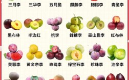 李子类水果品种有哪些？