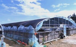 南美白对室内池养殖，技术要点有哪些？