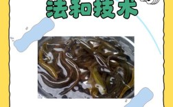 优质泥鳅全套养殖技术有哪些关键点？