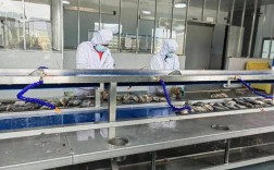 国家罗非鱼产业技术体系如何助力产业升级？