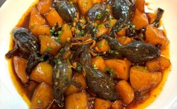 东北林蛙有哪些品种？附图片对比。