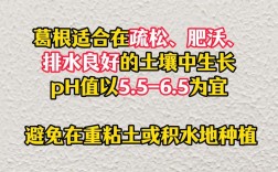野生葛根湖南种植技术