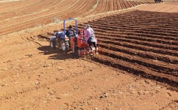 土豆田间管理技术视频要点有哪些？