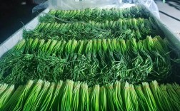 今日蒜薹价格2025会涨还是跌？