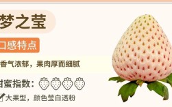 四季草莓哪个品种口感最佳？