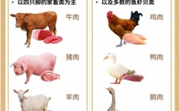 食用肉品种多样，如何欣赏辨别？