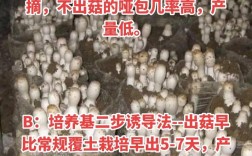 蘑菇种植技术好掌握吗？利润真有想象中高吗？