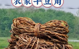 晾晒选哪种豆角品种好？