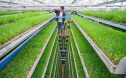 农业种植技术的视频大全