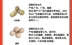 龙眼有哪些常见品种？