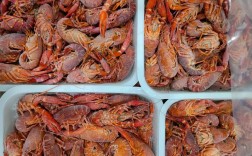 2025白沙洲小龙虾价格会涨还是跌？