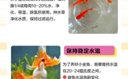 福寿鱼养殖关键技术有哪些？