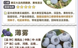 北方种蓝莓，哪些品种最合适？