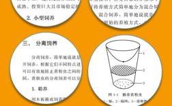 黄粉虫规模养殖技术要点有哪些？