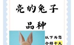 什么品种兔子最易养活？